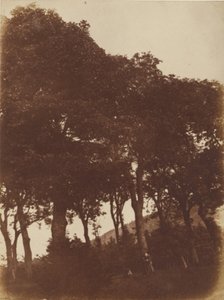[Campo en Bonaly] de Hill and Adamson