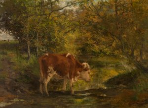 Una vaca junto a la zanja