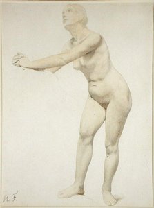 Desnudo