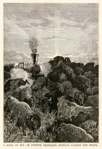 Una manada de diez o doce mil búfalos bloqueó el camino, de La vuelta al mundo en ochenta días de Julio Verne (1828-1905), grabado por Louis Prevost, 1873