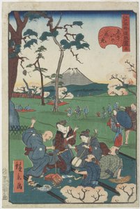 No.5, Vista de los cerezos en flor en la colina de Asuka de Hirokage Utagawa
