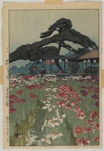 Jardín de Iris en Horikiri, de la serie, Doce escenas de Tokio, era Showa de Hiroshi Yoshida