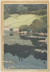 Lirios de agua en un jardín botánico de Hiroshi Yoshida