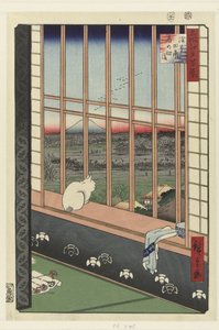 Los arrozales de Asakusa y el festival de Torinomachi