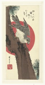 Halcón en pino de Hiroshige (I) , Utagawa