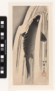 Carpa nadando contra una cascada de Hiroshige (I) , Utagawa