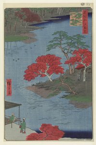 Terrenos del templo de Akiba en Ukiji
Ukiji Akiba no keidai (título en el objeto)
Cien vistas famosas de Edo (título de la serie)
Meisho Edo hyakkei (título de la serie en el objeto) de Hiroshige (I) , Utagawa