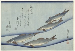 Trucha de Hiroshige (I) , Utagawa