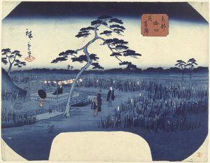 Lirios florecientes en Horikiri en la capital oriental Toto Horikiri hanashobu (título sobre objeto) de Hiroshige (II) , Utagawa