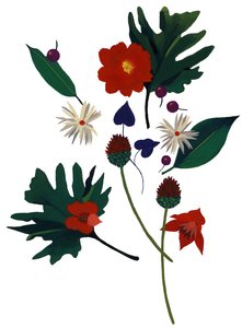 Una flor que te hace imaginar la Navidad