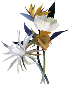 Una flor imaginaria con base blanca de Hiroyuki Izutsu