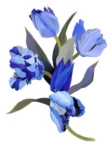 Tulipán azul