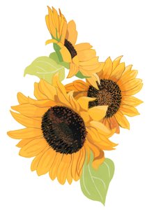 Girasol de Hiroyuki Izutsu