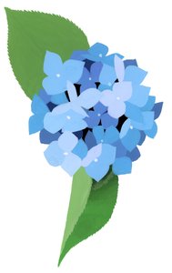 Hortensia de Hiroyuki Izutsu