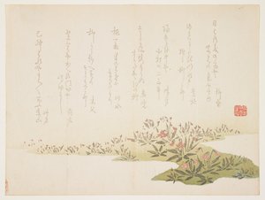Violetas, c.1848-53