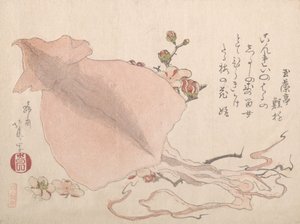 Sepia Seca y Flores de Ciruelo, principios del siglo XIX