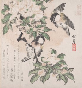 Colección Lluvia de Primavera Harusame shu, vol. 3: Carboneros y Flores de Manzano Silvestre de Hokuba