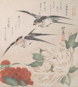 Colección de lluvia de primavera Harusame shu, vol. 3: Golondrinas y peonías, ca. 1820