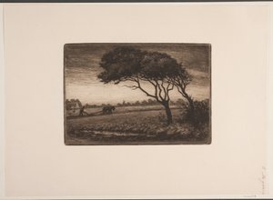Paisaje otoñal