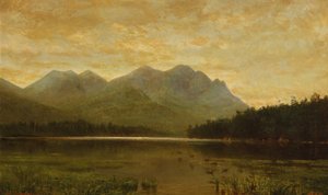 Lago Upper Ausable de Homer Dodge Martin