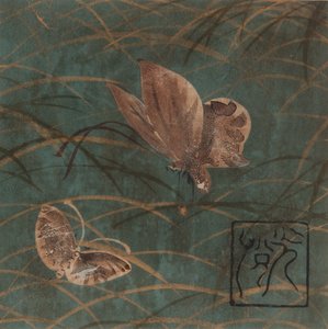 Mariposas y hierbas, período Edo, principios del siglo XVII