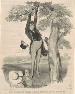 Danger de secouer trop fortement ... Un prunier de Honoré Daumier