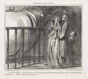 Exposición de Animales: Pl. 5, La Vaca-Elefante, Nueva Variedad de Honoré Daumier