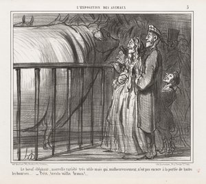 Exposición de Animales: La Vaca-Elefante, Nueva Variedad de Honoré Daumier