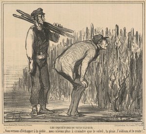 Las inquietudes del viticultor de Honoré Daumier