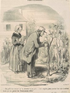 Mi injerto de un cerezo en un albaricoquero no ha prendido... de Honoré Daumier