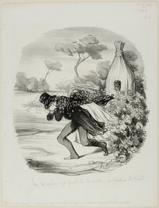 Un caballero que quiso estudiar demasiado de cerca los hábitos de las abejas, lámina 6 de Pastorales de Honoré Victorin Daumier