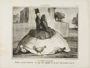 Un error excusable. Gallinas que creen haber encontrado la jaula donde pasaron su primera infancia, lámina 21 de La Crinolomanie