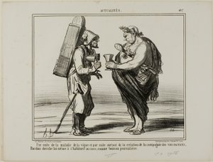 Como consecuencia de la enfermedad del vino, pero también por la fundación de la "Sociedad para la Producción de Vino Artificial", hasta Baco decide pasarse al agua de coco como bebida diaria, plato 407 de Actualités de Honoré Victorin Daumier