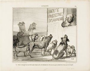 Los perros vuelven a desesperarse tras enterarse de que, después de todo, habrá un nuevo impuesto sobre las licencias caninas, placa 171 de Actualités de Honoré Victorin Daumier