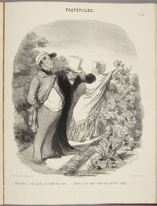 ¡Vaya!... ahora me coge una rosa... ¡como si las rosas estuvieran hechas para ser cogidas!... de Honoré Daumier