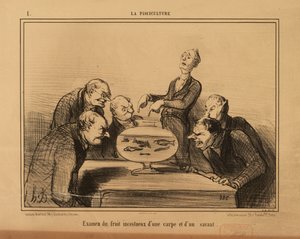 La piscicultura n.º 1: Examen del fruto incestuoso de una carpa y un sabio. de Honoré Daumier