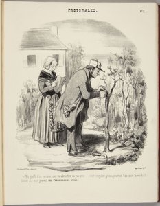 Mi injerto de cerezo sobre un albaricoquero no ha prendido... de Honoré Daumier