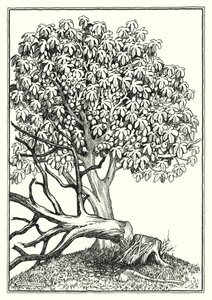 Ilustración del Sermón de la Montaña (grabado)