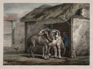 Caballo de Granja de Emile Jean Horace Vernet