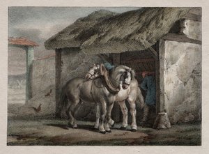 Caballo de granja