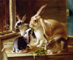Conejos de orejas largas en una jaula, vigilados por un gato de Horatio Henry Couldery