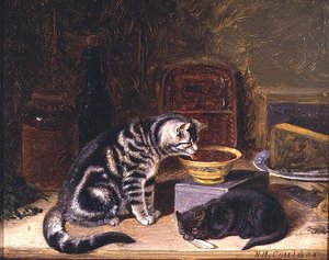 Dos gatos