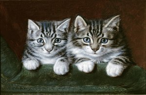 Dos gatitos atigrados (óleo sobre lienzo) de Horatio Henry Couldery