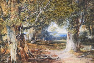 En el Bosque de Horatio McCulloch