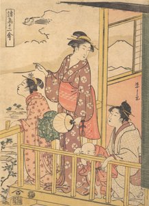 Un ave de cola larga Onagadori, de la serie Doce aves variadas, ca. 1791 de Hosoda Eishi