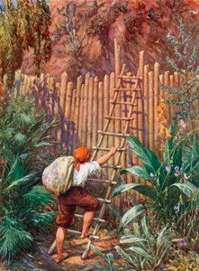 Ilustración para Robinson Crusoe
