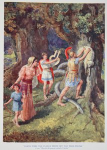 "Jasón arrancó el vellón del tronco del árbol" (litografía en color) de Howard Davie