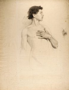 Chico desnudo, torso y cabeza de Howard Russell Butler