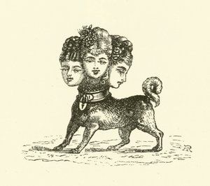 Cerbero Femenino