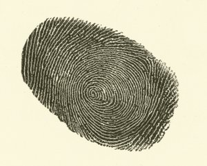 Huella dactilar de Hugh Rowley